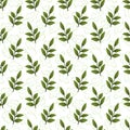 Vector seamless pattern with green foliate twigs.